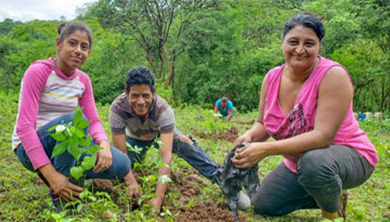 Thousands of smallholder farmers have planted more than 10 million trees through the <strong>Communitree Carbon Program</strong> in Nicaragua.