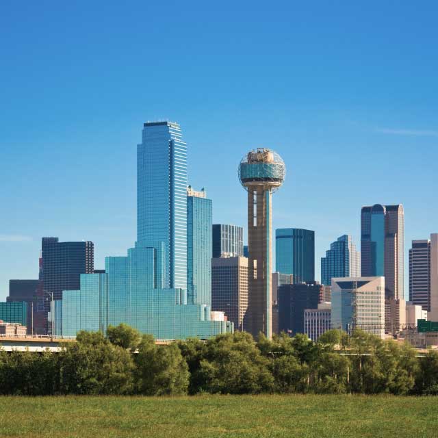 Picture of Dallas
